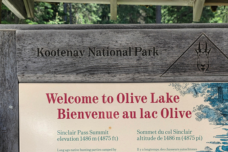 Soak & Explore: Radium Hot Springs and Kootenay Park Tour