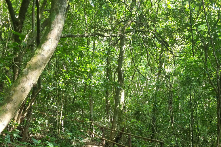 São Paulo: Waterfalls Hike, Beach View, & Chairlift Tour