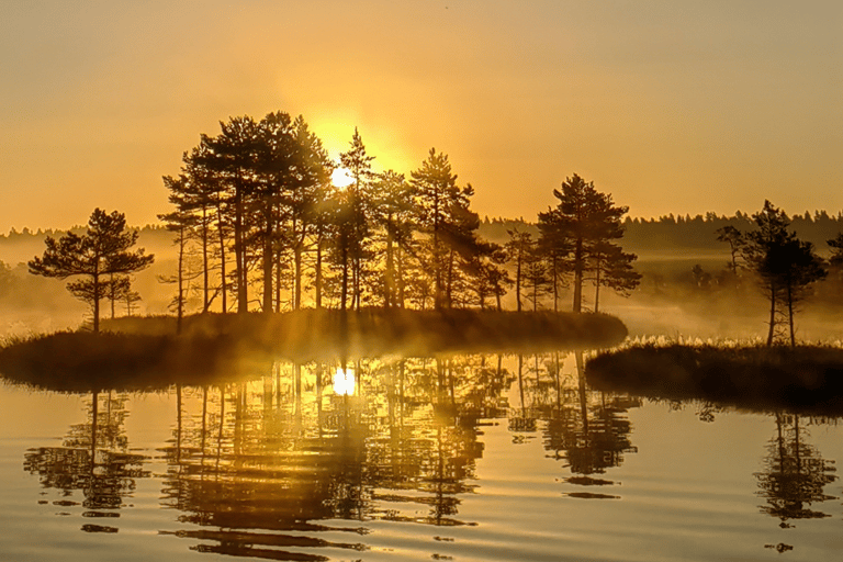 Vanuit Riga: Moerasschoenwandeltocht in Cenas of Ķemeri Bog