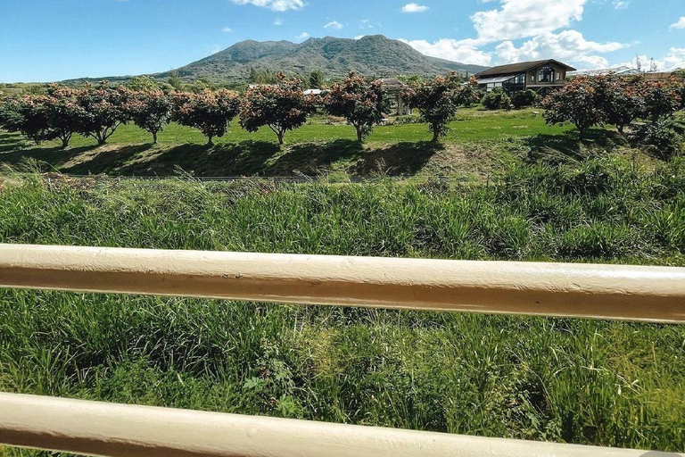 Saint-Kitts : Visite panoramique du train à sucre avec prise en charge et retour