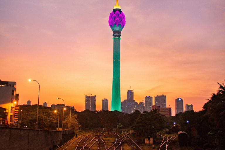 Negombo: Colombo City Tour & Hamilton Canal Boat Ride