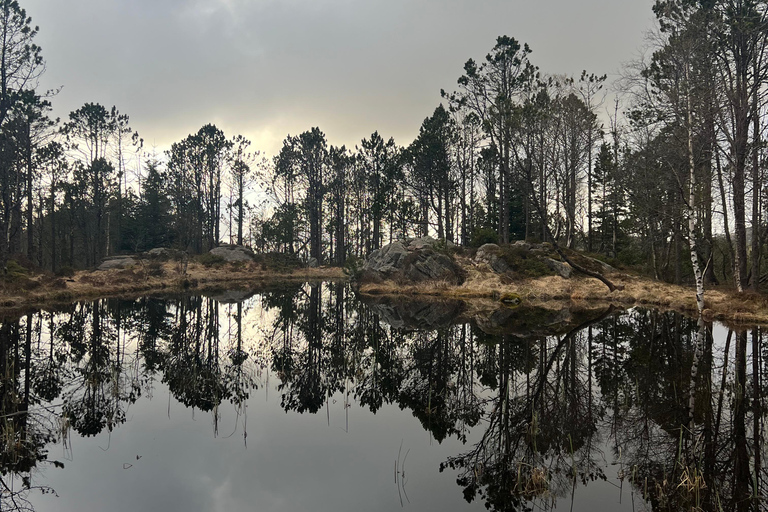 BERGEN I Fløyen Activo - Magische Natuur - Wandeltocht