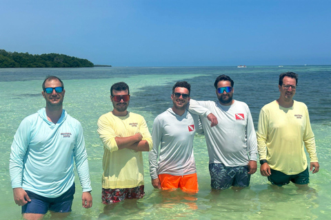 Six Fins Key West: 2-Hour Guided Jet Ski Tour with Photos