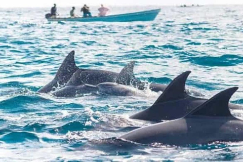 Zanzibar: Mnemba Dolphin Swim, Turtle Aquarium & Beach Trip TOUR WITHOUT HOTEL TRANSFER(PICK UP AND DROP OFF)