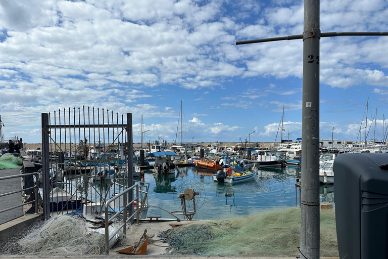 Tel Aviv: Private Highlights Tour with Driver