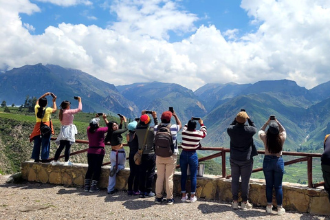 Depuis Arequipa : Excursion au Canyon de Colca 2D 1N à Chivay