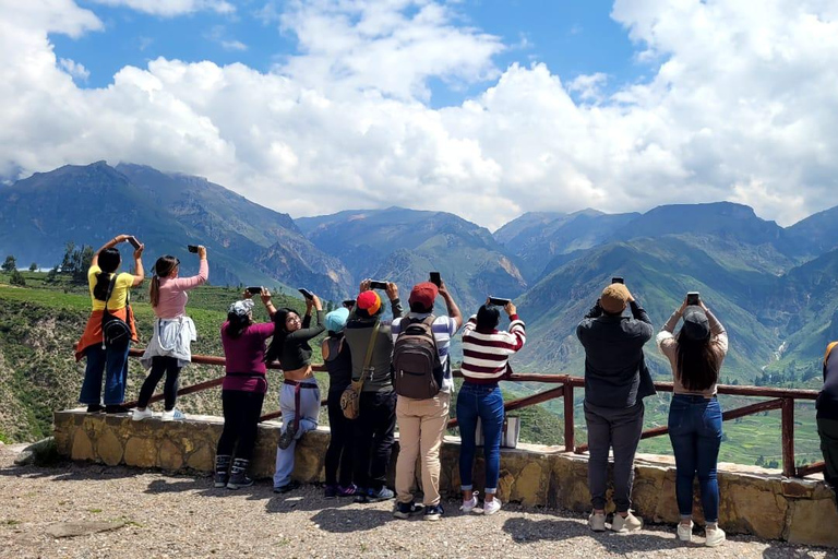 Depuis Arequipa : Excursion au Canyon de Colca 2D 1N à Chivay