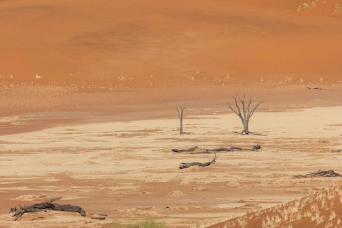 Swakopmund: 3-Day Namib Signature Desert Tour