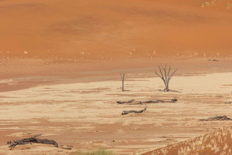 Swakopmund: 3-Day Namib Signature Desert Tour