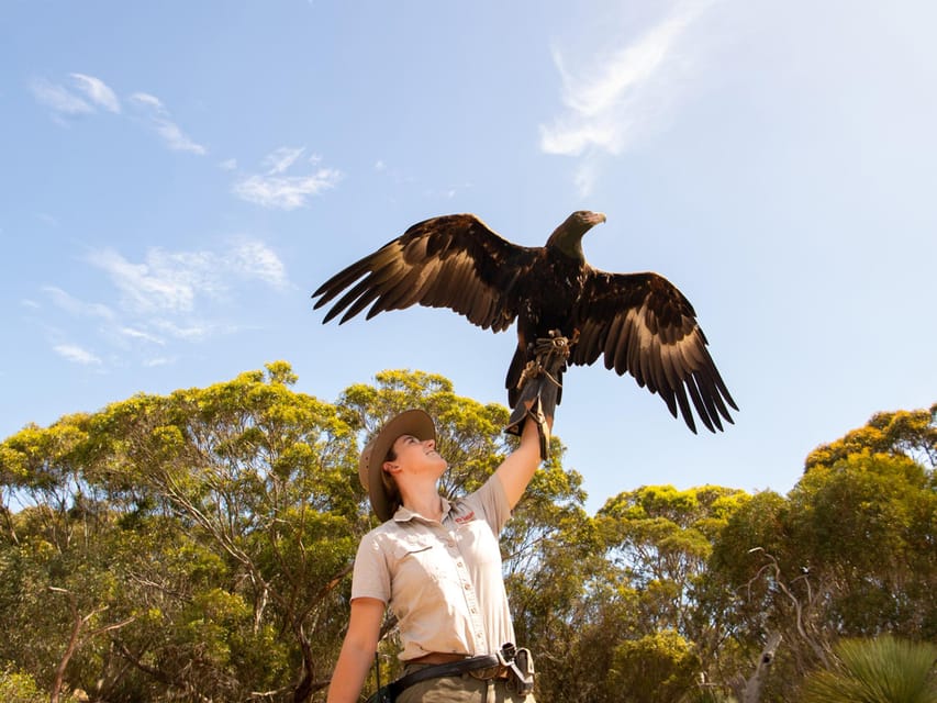 From Penneshaw Kangaroo Island Sights and Wildlife Tour GetYourGuide