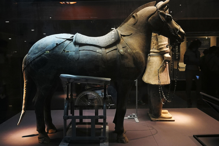 Xi'an: Terracotta Army Mini Group or Private Tour 14-Person Group with Terracotta Entrance Meeting Point