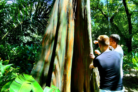 Rio de Janeiro: Burle Marx Site and Secret Beaches Day Tour