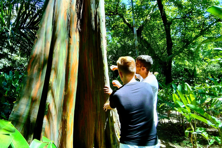 Rio de Janeiro: Burle Marx Site and Secret Beaches Day Tour