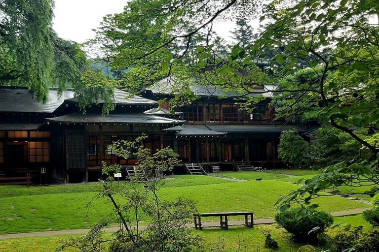 L&#039;avventura d&#039;élite di Nikko: Tour guidato privato