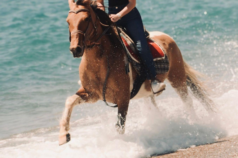 Side: Horseback Riding Adventure with Hotel Pickup
