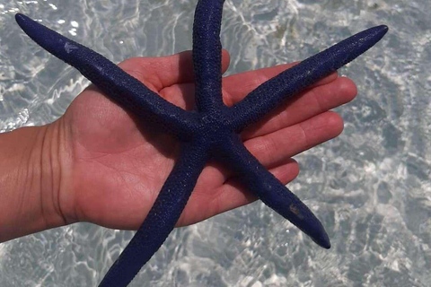 ZANZÍBAR: isla de la Prisión, natación en cuevas y Laguna Azul