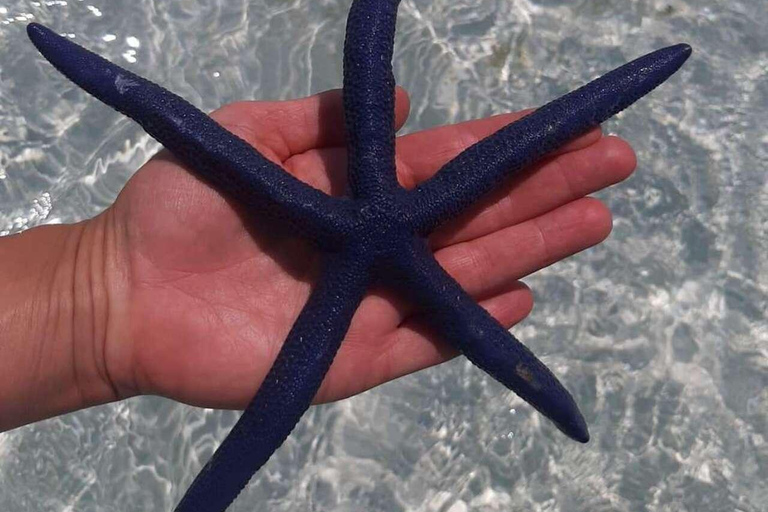 ZANZÍBAR: isla de la Prisión, natación en cuevas y Laguna Azul