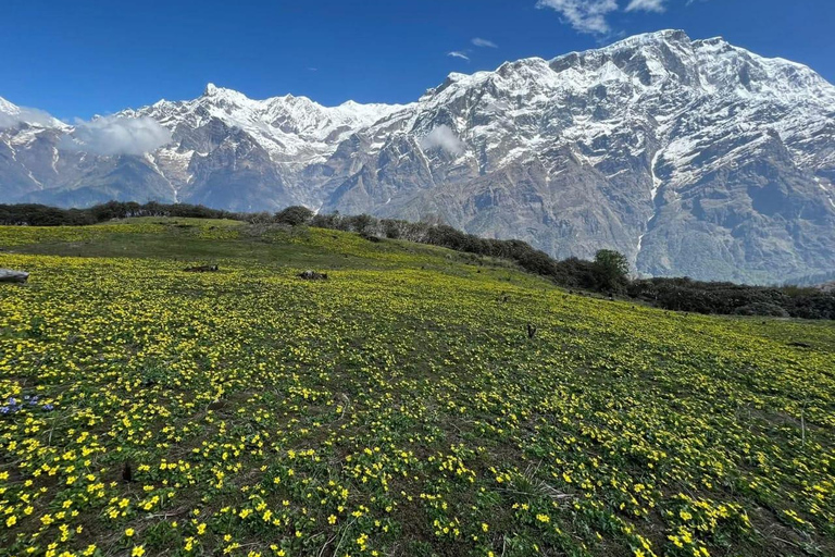 Pokhara: 7-Day Sikles and Namun La Pass Trek