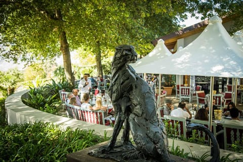 Full Day Winelands Tour With Wine Tasting