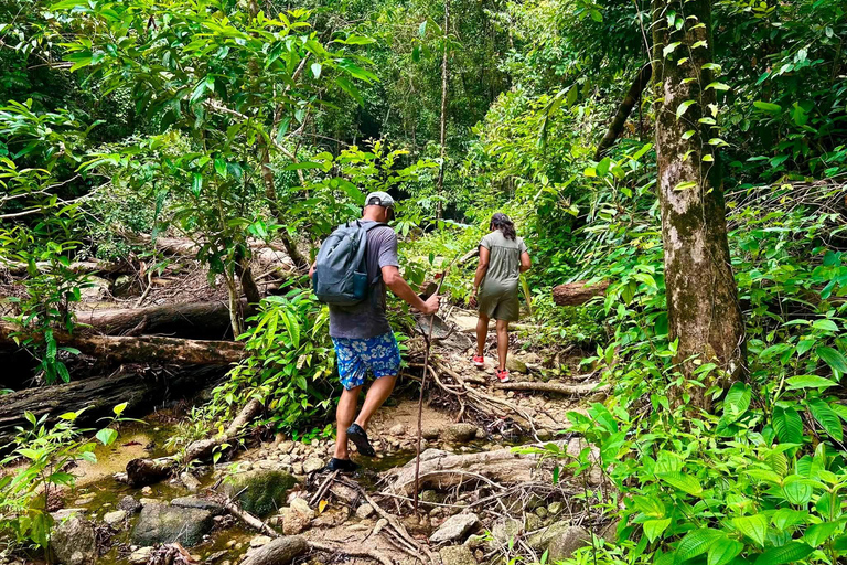 Khao Lak: Drift the Bamboo River, Chong Fah Falls Escape