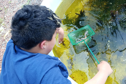 Xochimilco: Chinampa and Axolotl Boat Tour