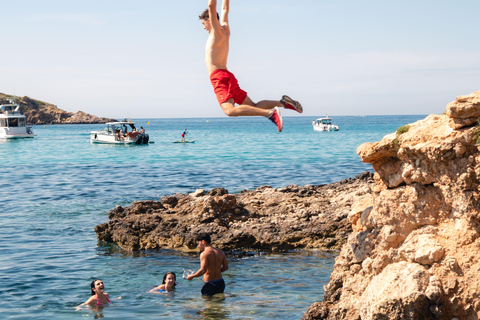 Palma de Mallorca: SmallGroup Tour by Locals in Hidden Coves