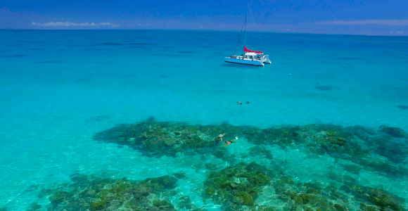 Cairns: Great Barrier Reef Small Group Snorkel Tour