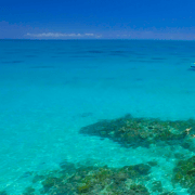Cairns: Great Barrier Reef Small Group Snorkel Tour