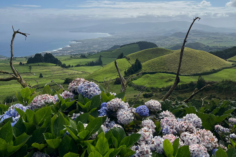 Azores: Sete Cidades Half-Day Tour – Lakes, Volcanoes, and Viewpoints CELEBRITY INFINITY on May 4, 2026