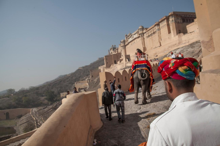 From Chennai: Private Day Tour to Jaipur