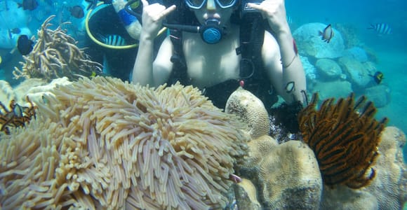 Red River Tour - Scuba Diving At Roi Island Phu Quoc