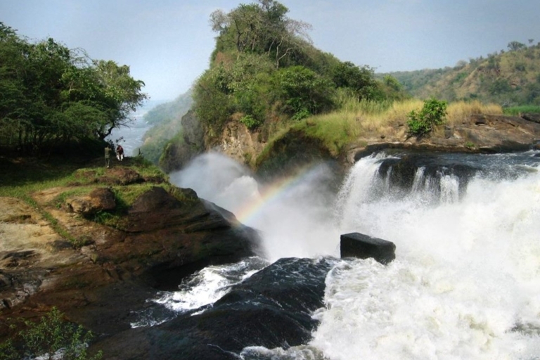 Ouganda : 4 jours de safari dans le parc des chutes de MurchisonOuganda : 4 jours de safari dans le parc de Murchison Fall