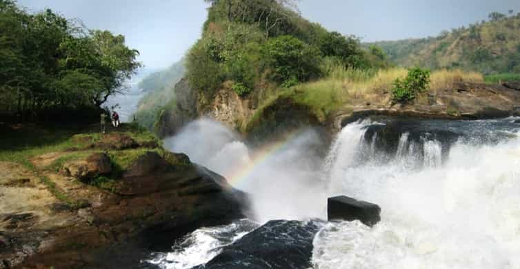 Uganda Day Wildlife Safari In Murchison Falls Park Getyourguide