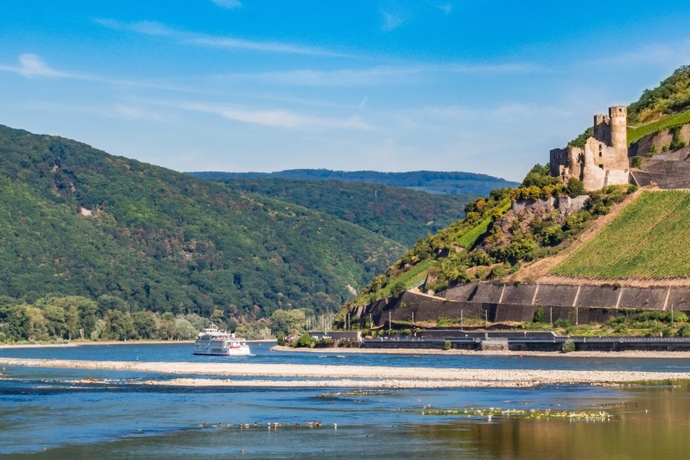 Rhine Valley Castles: 1.5-Hour Boat Tour from Rüdesheim