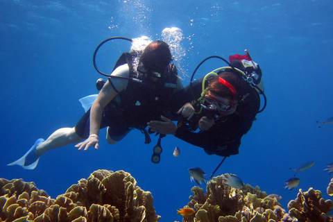 Marmaris: Scuba Diving w/Lunch & Hotel Pick Up Scuba Diving with Meeting Point (No Transfer)