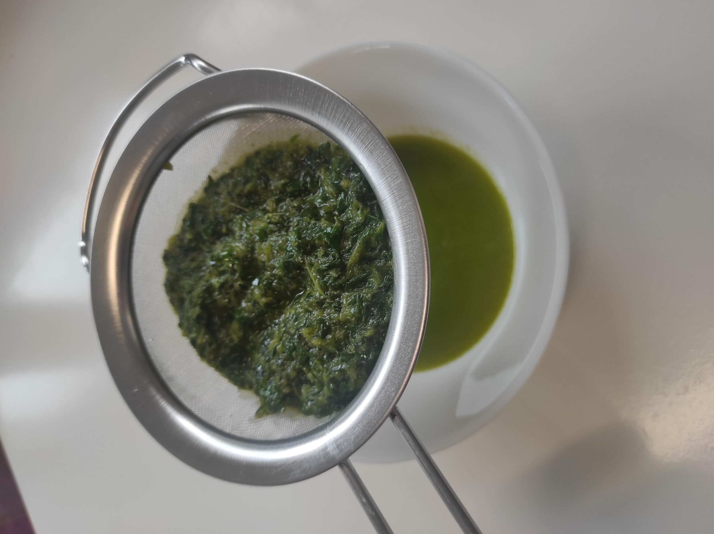 Privater Kombucha-Workshop auf Zypern