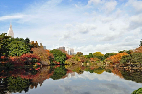 Tokyo: Private 1-Day Tour with English-Driver, Customizable