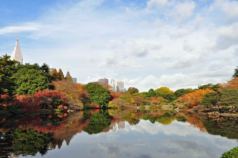 Tokyo: Private 1-Day Tour with English-Driver, Customizable