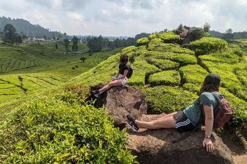 Bandung: White Crater, Scenic Tea Plantations & Hot Spring Open Tour: White Crater & Surroundings areas. with Tickets