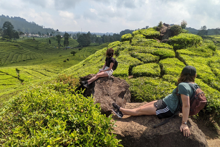 Bandung: White Crater, Scenic Tea Plantations & Hot Spring Open Tour: White Crater & Surroundings areas. with Tickets