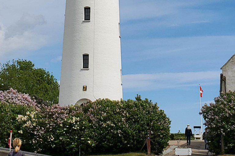 Köpenhamn: Stevns Klint Geologisk Hot Spot UNESCO-tur