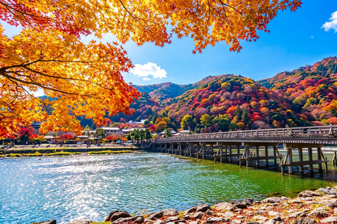 Osaka: Nara, Kyoto, and Arashiyama Day Trip with Train Ride Small Group (1–13 People, Meeting Point Pickup)