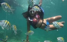  - Canarie.it