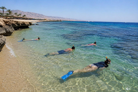 Marsa Alam: Abu Dabbab Beach Full Day Snorkeling Experience Abu Dabbab Beach Half Day Snorkeling Trip
