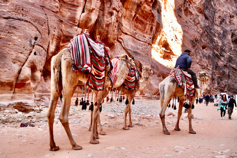 Visit Petra, Wadi Rum, and Dead Sea on Two days Private Tour