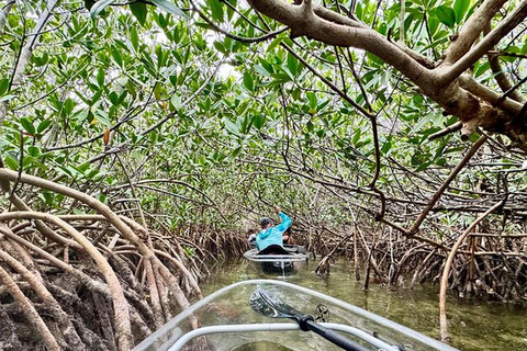 Key West Area: Guided Clear Kayak Eco-Tour