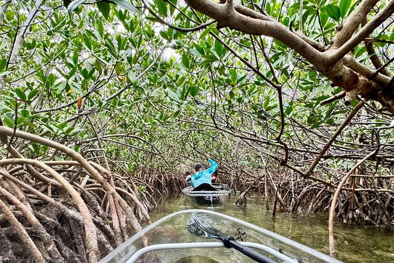 Key West Area: Guided Clear Kayak Eco-Tour