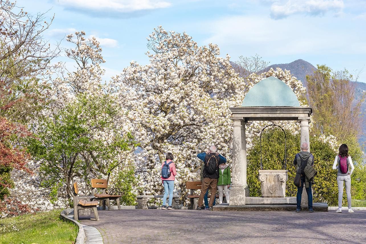 Verbania: Botanischer Garten der Villa Taranto – Eintrittskarte