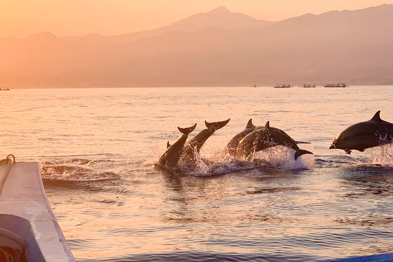 North Bali : Lovina Dolphins and Ulun Danu Temple