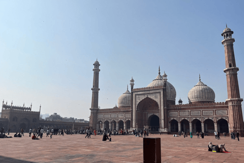 Delhi: Old and New Delhi Private Full or Half-Day Tour Full Day Tour with Guide Only - (Without Car & Driver)